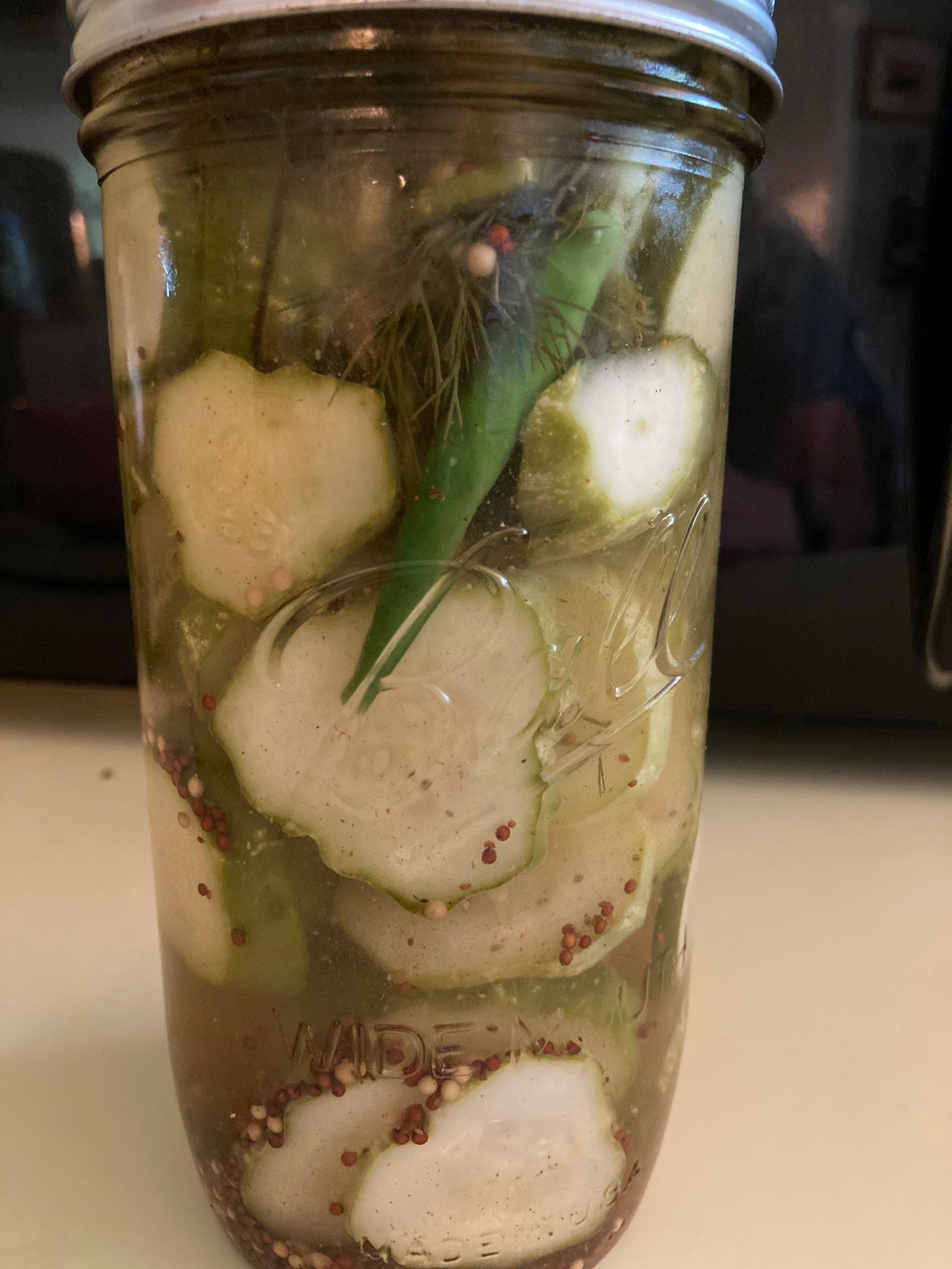 Homemade pickles seasoned with Sloan Seasonings Roasted Garlic Salt Blend – bold, tangy flavor
